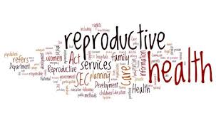 Maternity and Reproductive Health Nursing